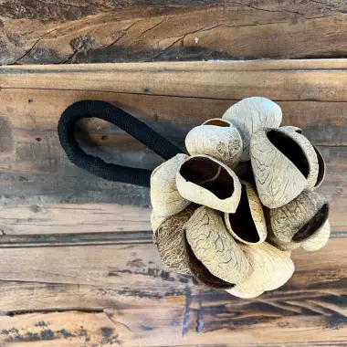 Pangi-Samen Rassel – Kraftvoller Naturklang