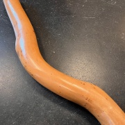 Didgeridoo | E