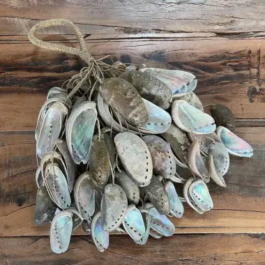 Rassel aus Abalone Muscheln