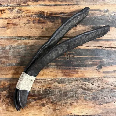 Rassel | Flamboyant Seed Shaker