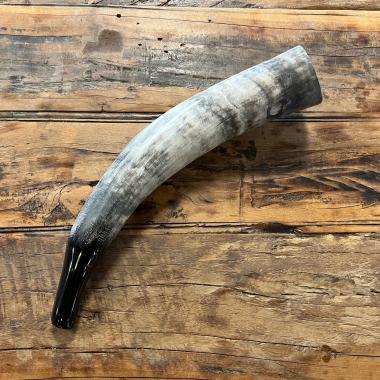 Kuhhorn - Signalhorn naturbelassen