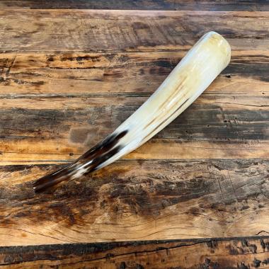 Kuhhorn - Signalhorn poliert