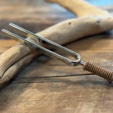 Ergo Stimmgabel | Apsidis' Rotation