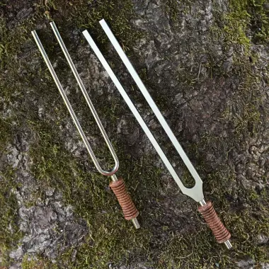 MEINL Stimmgabel aus Stahl | Geomagnetfeld