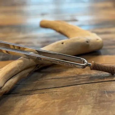 Ergo Stimmgabel | Geomagnetisches Feld