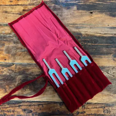 Stimmgabel | Set Leonardo | Biosonics