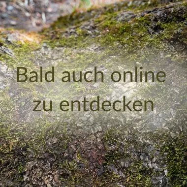 Kristallklangschale | Dreiklang | F-Dur