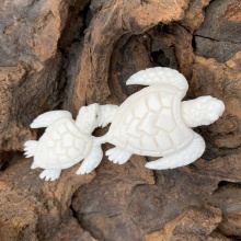 Schildkröten Schmuckstück